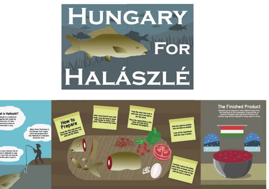 Figure 4: Halaszle Infographic Gatefold 