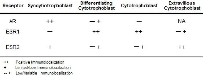 TABLE 1.1 Trophoblast immunolocalization of sex hormone receptors 