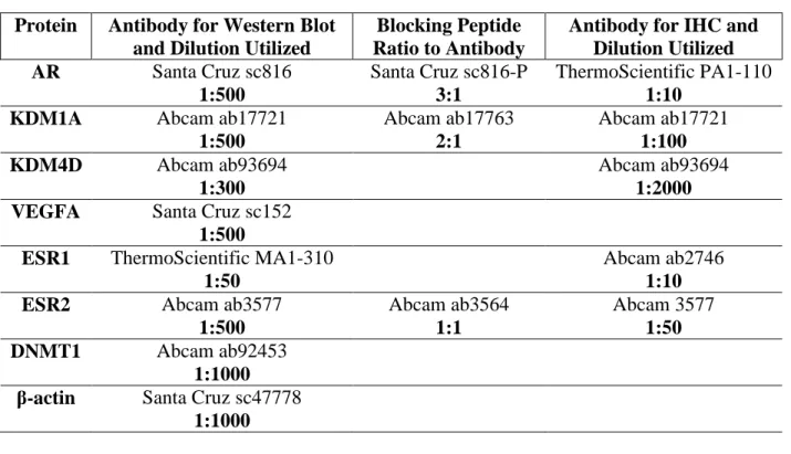 TABLE 2.1. List of antibodies and their dilutions used for Western blot or IHC protocols  Protein  Antibody for Western Blot 
