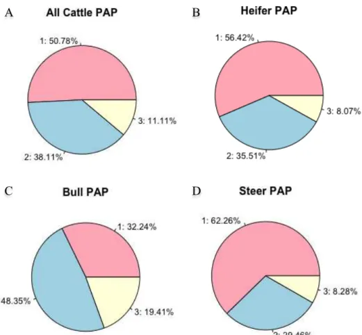 Figure 3.3. Proportion of calves in each of the three phenotypic categories based on all, heifer,  bull  and  steer  pulmonary  arterial  pressure  (PAP)  measurements