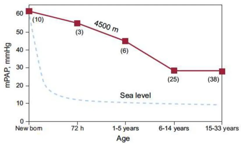 Figure  2.1  Relationship  between  mean  pulmonary  arterial  pressure  and  age  in  natives  with  normal health who live at a high altitude, at 4540 m (solid line), compared to the data reported  for  sea  level  residents  (dashed  line;  the  numbers