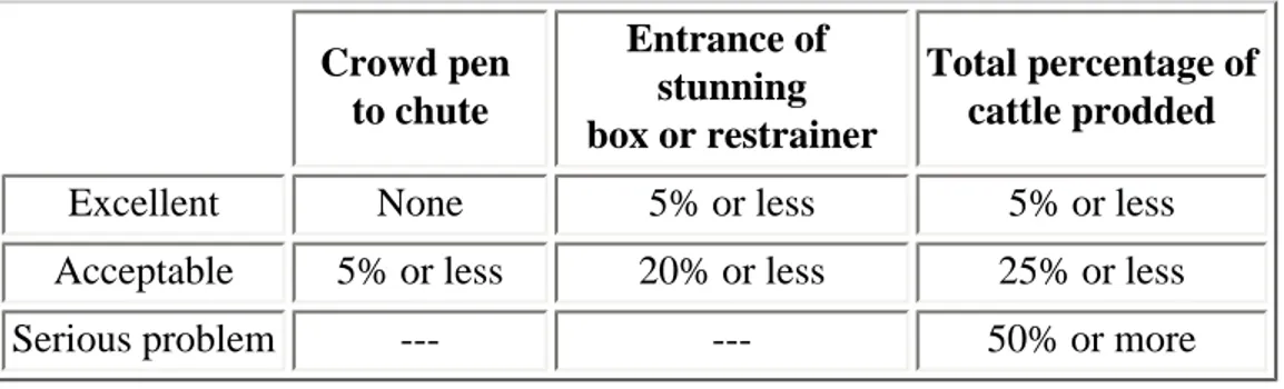 Table 1. Electric prod scoring criteria for cattle (percentages of animals  prodded). Crowd pen  to chute Entrance of stunning  box or restrainer Total percentage of cattle prodded