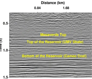Figure 2.9: Seismic section across the middle of the survey area at Rulison field (after Xu &amp;