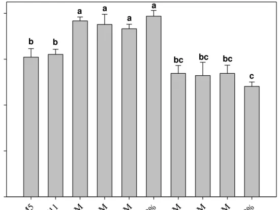 Figure 7. Dry matter yield of annual cool-season forages and mixtures with varying seeding rates  of grasses