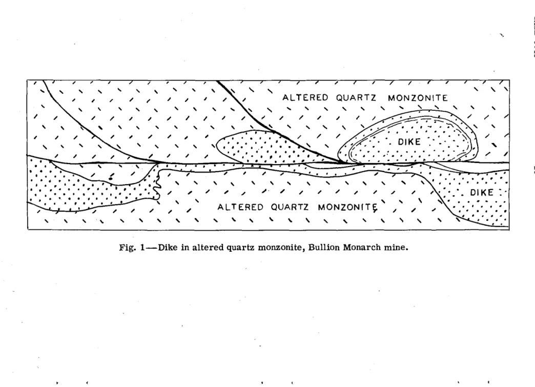 Fig.  1-Dike in altered quartz monzonite,  Bullion Monarch mine. 