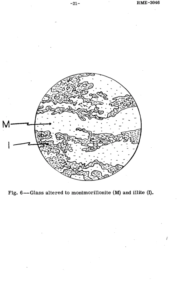 Fig.  6-Glass altered to  montmorillonite  (M)  and illite  (I). 