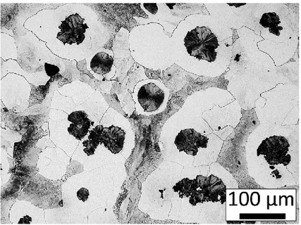 Figure 5. Optical micrograph of the SGI-3 specimen; thickness: 50 mm (Bull’s eye). 