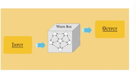 Figure 3: White Box System, Adapted from Kasianiuk (2016). 
