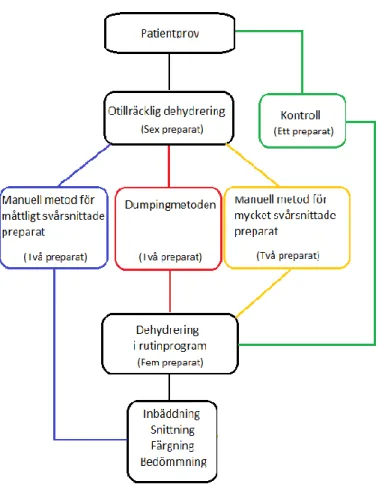 Figur 1: Flödesschema för hur preparaten från varje enskilt patientprov behandlades utifrån de olika  protokollen i Bilaga 1