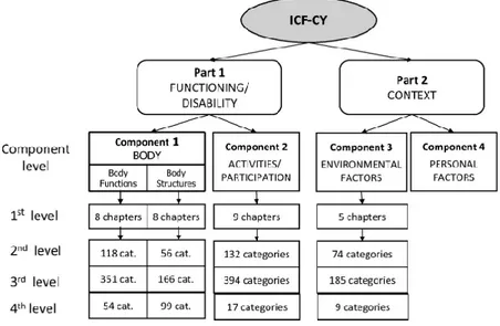Figure 1. Structure of the ICF-CY from Simeonsson, 2009 