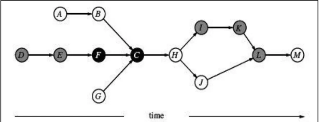 Figure 6: Network capacity disposition (Schönberger, 2011) 
