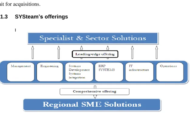 Figure 4 :  SYSteam’s offering ( SYSteam Annual report, 2008 ). 