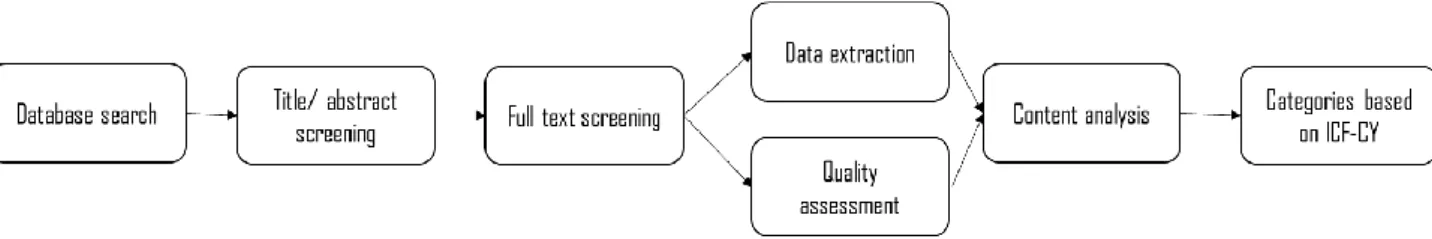 Figure 5.1. The methodological process.  