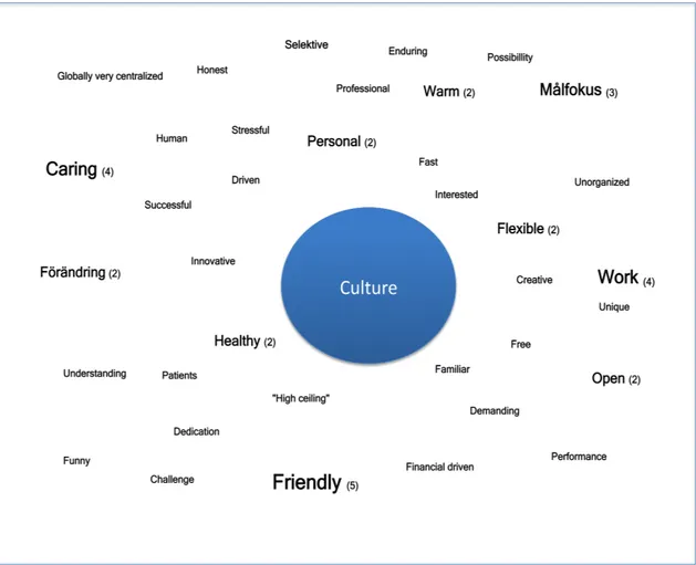 Figure 4.1 Please give 3 separate words that describe the Company X CULTURE (Q 12) 