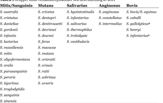 Tabell I Grupper inom viridansstreptokocker och dess indelning av arter