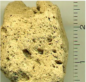 Fig. 5. Zeolites                                                       Fig. 6. Pumice from Teide volcano 