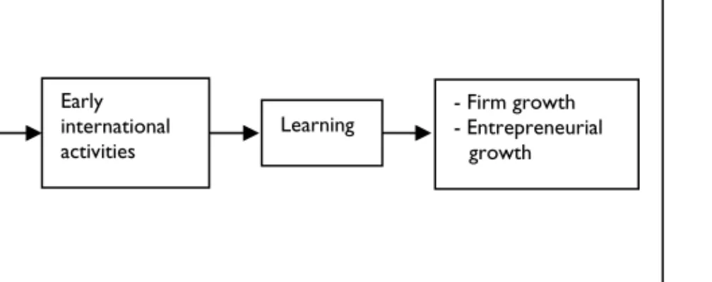 Figure 2.5 Model of the IE perspective. Source: Compiled by the author. 