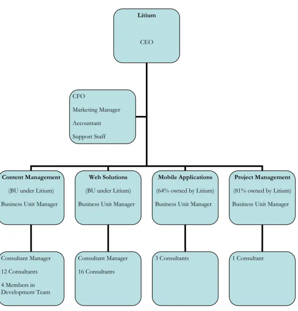 Figure 4: Litium’s organizational chart 