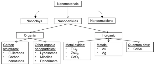 Figure 1. Classification of different nanomaterial (NM) groups (according to [7], with modifications)