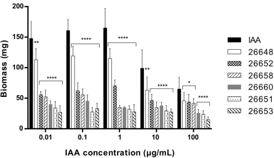 Figure 5. Effects of a selected fungal extract on the growth of Arabidopsis seedlings