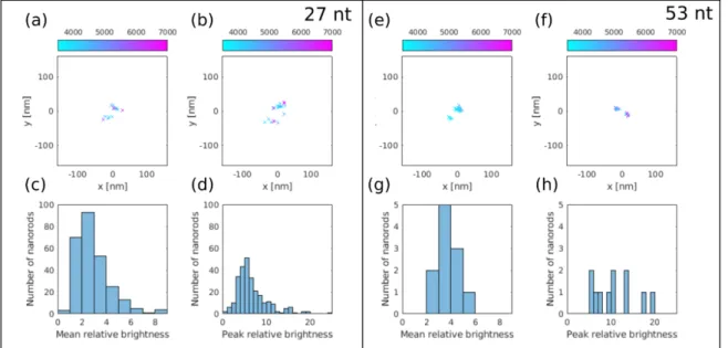 Figure 7. dSTORM images of two gold nanorods labelled with Cy5 dye molecules using (a,b) 27 nt  and (e,f) 53 nt long spacers