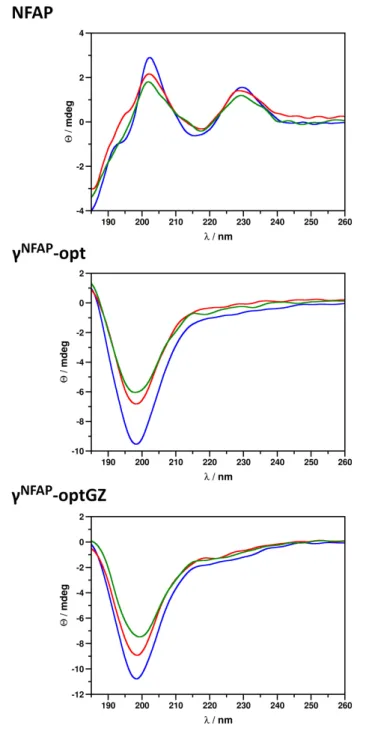 FIGURE 2 | Electronic circular dichroism (ECD) spectra of Neosartorya fischeri antifungal protein (NFAP), γ NFAP -opt, and γ NFAP -optGZ peptides in ddH 2 O (blue) and in the presence of Cladosporium herbarum FSU 1148 conidia immediately after exposure (re