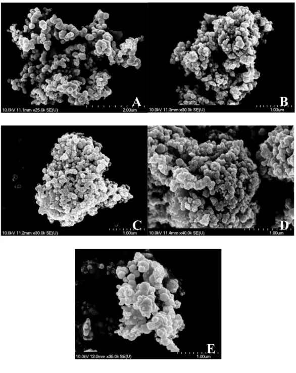 Figure 5. Scanning electron microscopy images of the selected NiNPs (A: non-stirred, B: mechanically  stirred, C: 30 W – 20%, D: 30 W – 100%, E: 120 W – 100% ultrasonically treated samples)