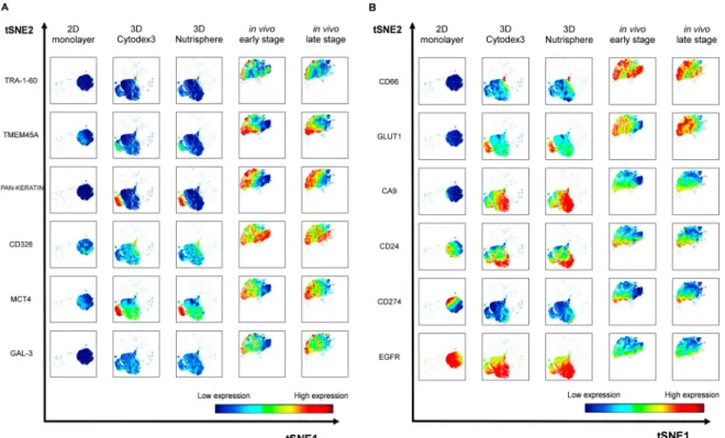 Figure 6. Representative multidimensional visualization of stochastic neighbor embedding (viSNE) analysis of 12 protein markers at single cell resolution in 2D, 3D (3D Cytodex3 or 3D Nutrisphere) cultures and in vivo (early or late stage) tumors