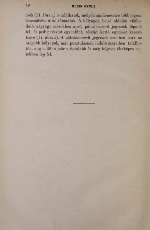 ezek (11. ábra c )  is találhatók,  melyek mindenesetre  több jegecz  összenövése  által  támadtak