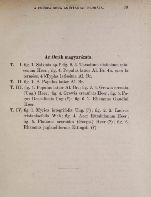 fig.  5.  Platanus  aceroides  (Goepp.)  Heer  (?);  fig.  6. 