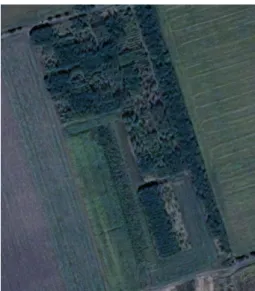 Figure 1: Satellite image of the study area from Google Earth