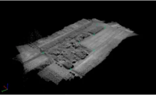 Figure 5: The 3D point cloud obtained from the multispectral images