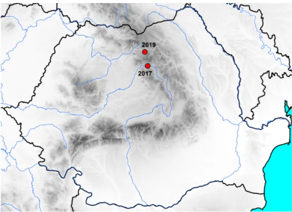 Fig. 5. Known occurrences of Multiclavula mucida in Romania.