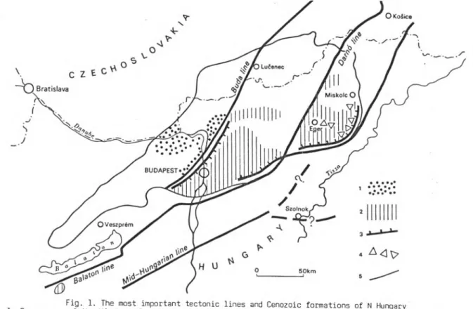 Fig.  1.  The most  important  tectonic  lines  and Cenozoic  formations of N  Hungary 