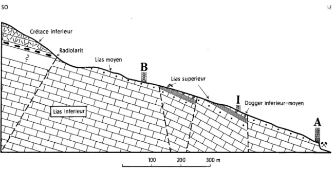 Fig.  1.  Coupe-esquisse  du  fossé  Tűzkövesárok  de Csernye.  Exagération  verticale