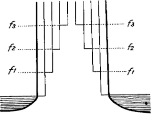 Fig.  9.  Vermorschungsform  eines  dem  Überwachsen  (f±,  f2.  f3)  des  Moosmoores  zufolge  in  einer  Spitze  endigenden  Baumstammes.
