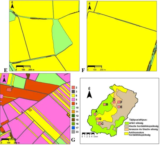 12. ábra. A terepi felvételezések során felmért tájablakok felszínborítása. A tájablakok  megnevezése: A – Körtvélyes (Tiszaug); B – Búzás-sziget (Tiszainoka, Tiszakürt); C –  Kása-halom (Tiszasas), Felső-földek (Csépa); D – Hangács (Tiszainoka); E – Göböl