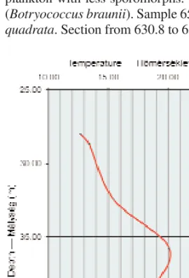 Figure 29. The temperature curve of Lower Badenian section, borehole Hidas–53  29. ábra