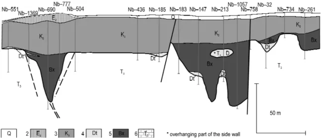 Figure 16. Deep sinkhole-filling deposits of Németbánya in the South Central zone of the occurrence 