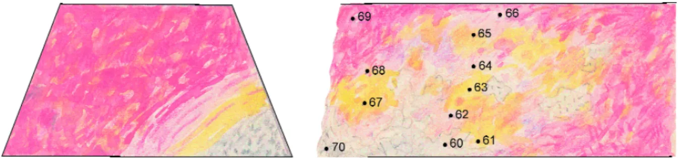 Figure 13. Lithological profile in the central part of the Határvölgy mine (the chemical analyses of the samples are present- present-ed in table No