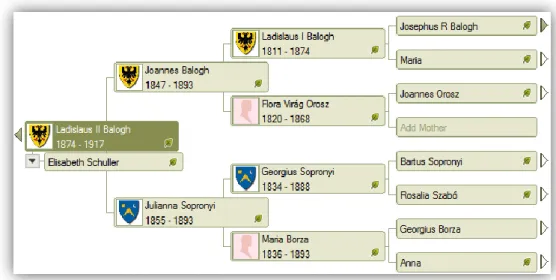 Ábra 1. Balogh László családfájának részlete