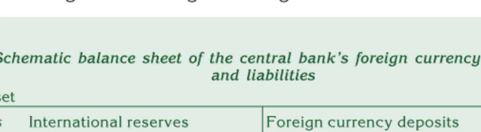 Table J Schematic balance sheet of the central bank’s foreign currency assets