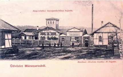 6. ábra: Aknaszlatinai Kunigunda-bánya bejárata 
