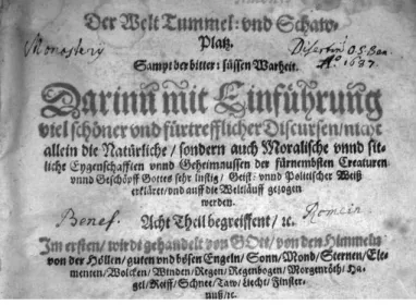 Abb. 6: Besitzeintrag vom Kloster Disentis  und vom Beneficium in Rumein in dem Welt  Tummel- und Schaw-Platz..