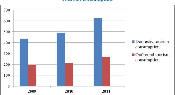 FIGURE 5  Tourism consumption 