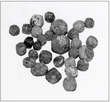 2. ábra . Sztau rolitikrekből készített virginiai amulettek .  (Dudichné– Koch  1935. XIII
