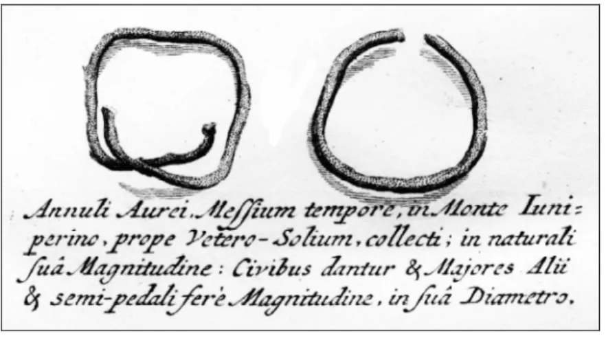 4. ábra. Aranyszemcsékkel borított sz ő l ő szemek Marsigli „Danubius  Pannonico-Mysicus” (1726) cím ű  könyvéb ő l