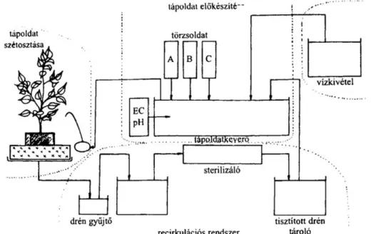 13. ábra. Hajtatóház tápoldatozó berendezésének sematikus rajza  (Forrás: Slezák és Terbe, 2008) 