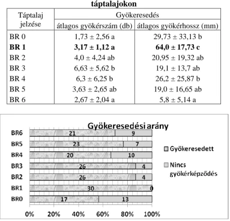 3. ábra. A gyökeresedés alakulása a kísérleti táptalajokon százalékos  arányban és a darabszám feltüntetésével 