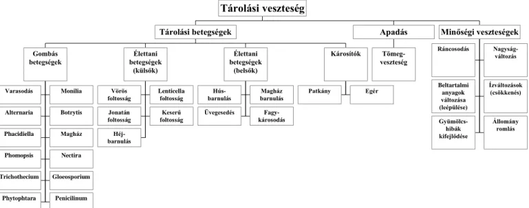 1. ábra: Tárolási veszteségek rendszerezése  (Osterloh et al., 1996.) 